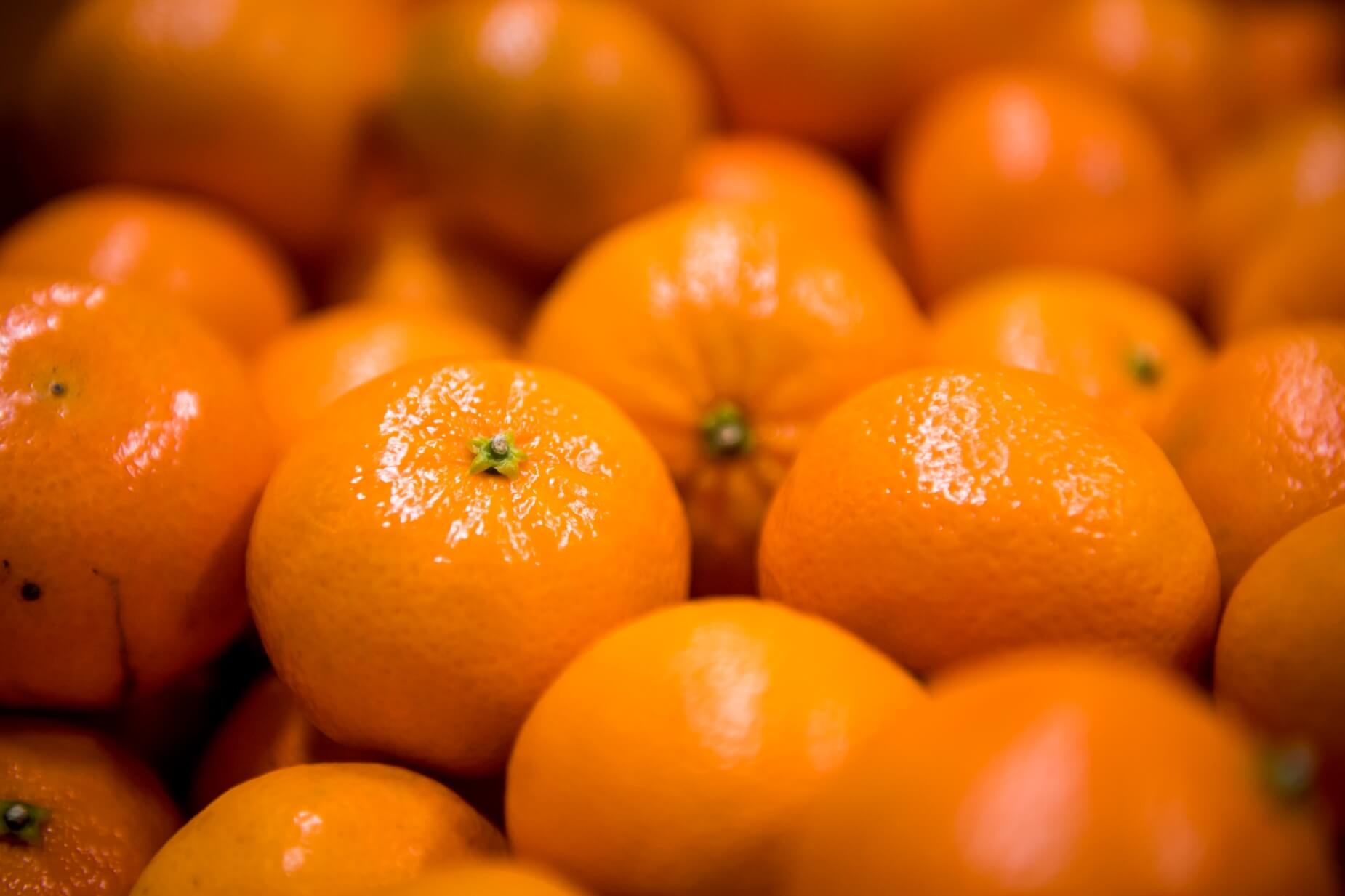 Comment les oranges traversent la chaîne froide