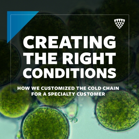 Créer les bonnes conditions : vue microscopique des cellules d’algues, représentant comment Lineage Personnalisé la chaîne du froid pour un client spécialisé qui traite des produits à base d’algues