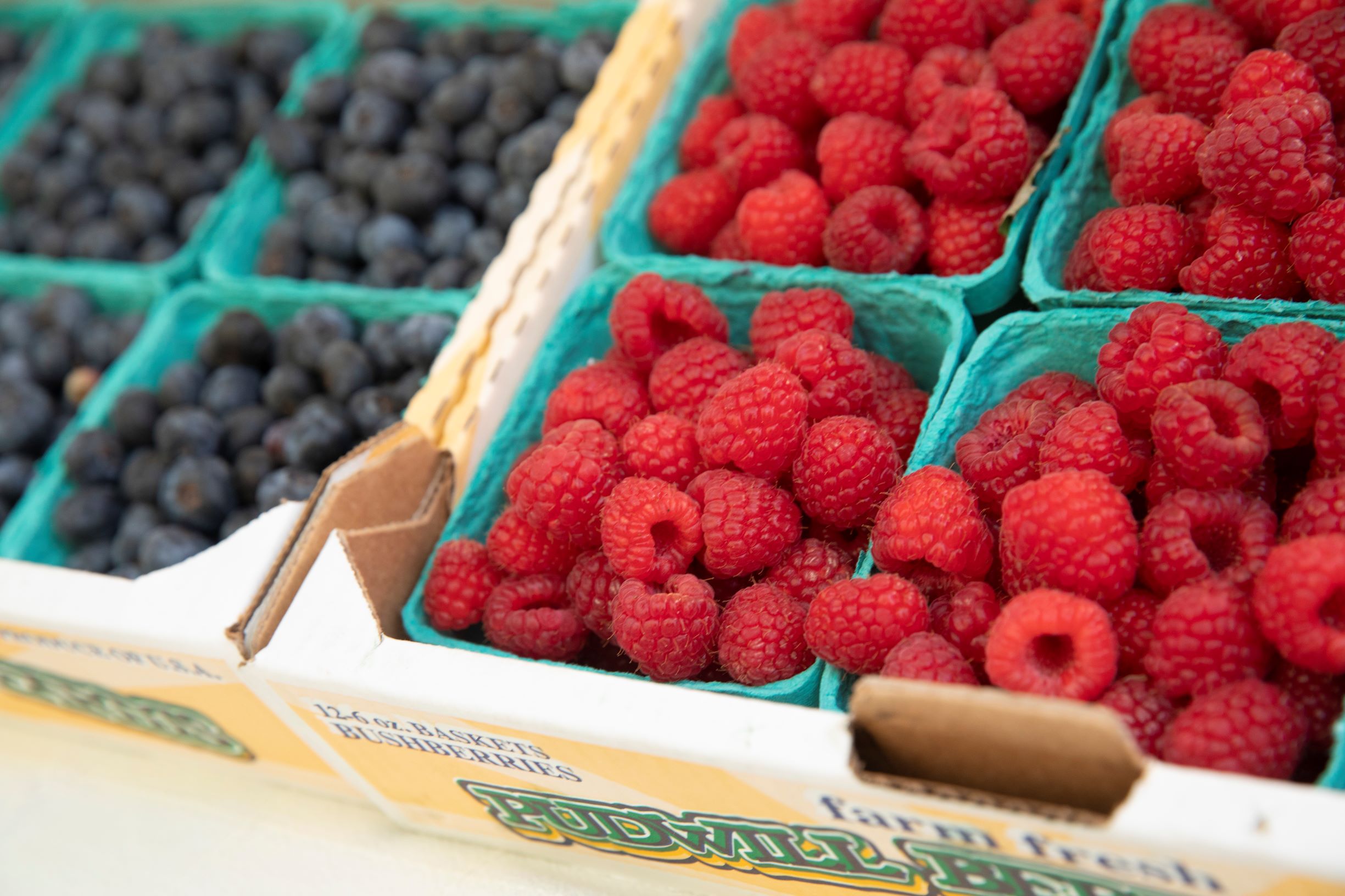 Raspberries and blueberries