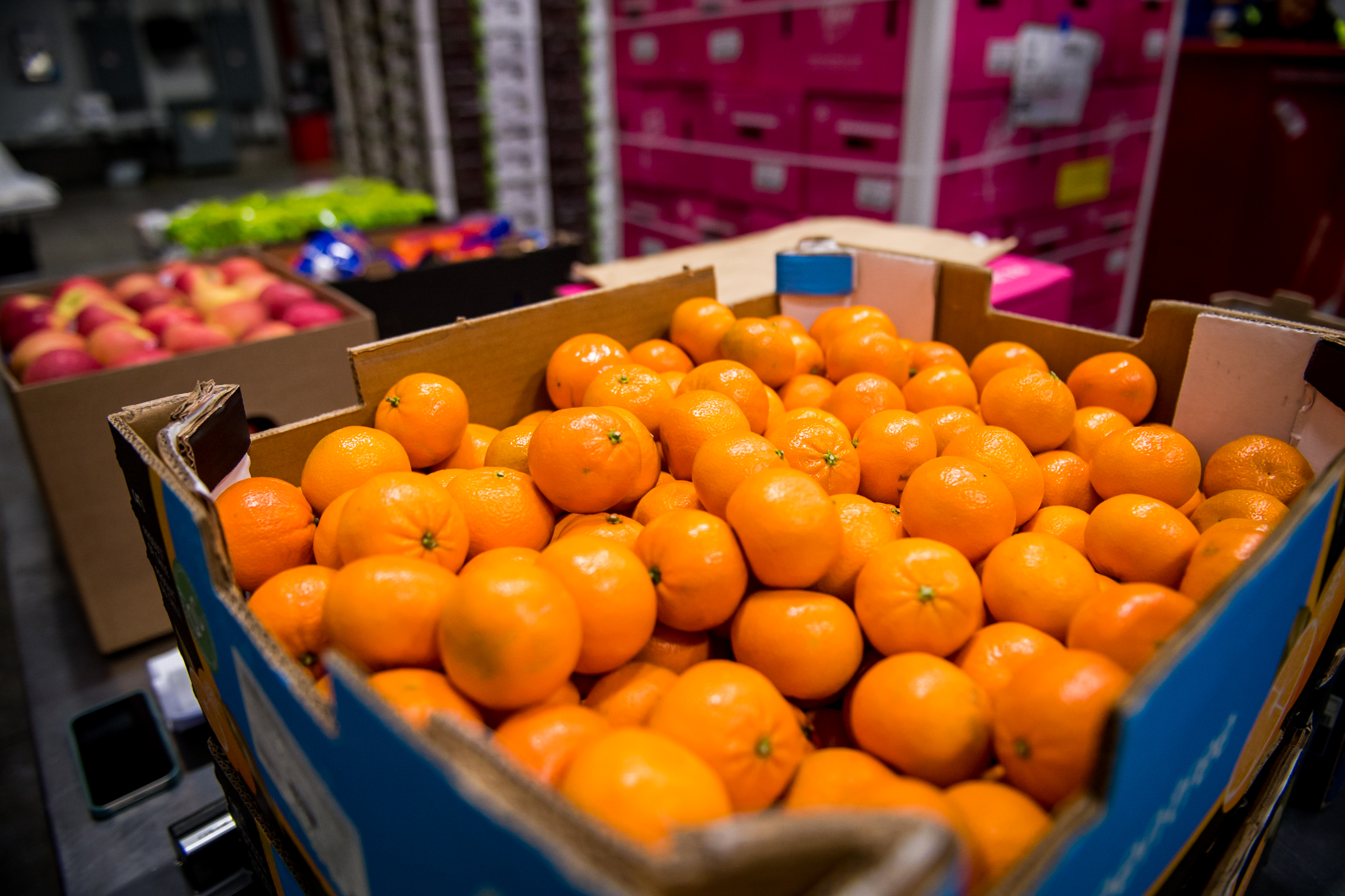 Une grande quantité d’oranges dans une caisse