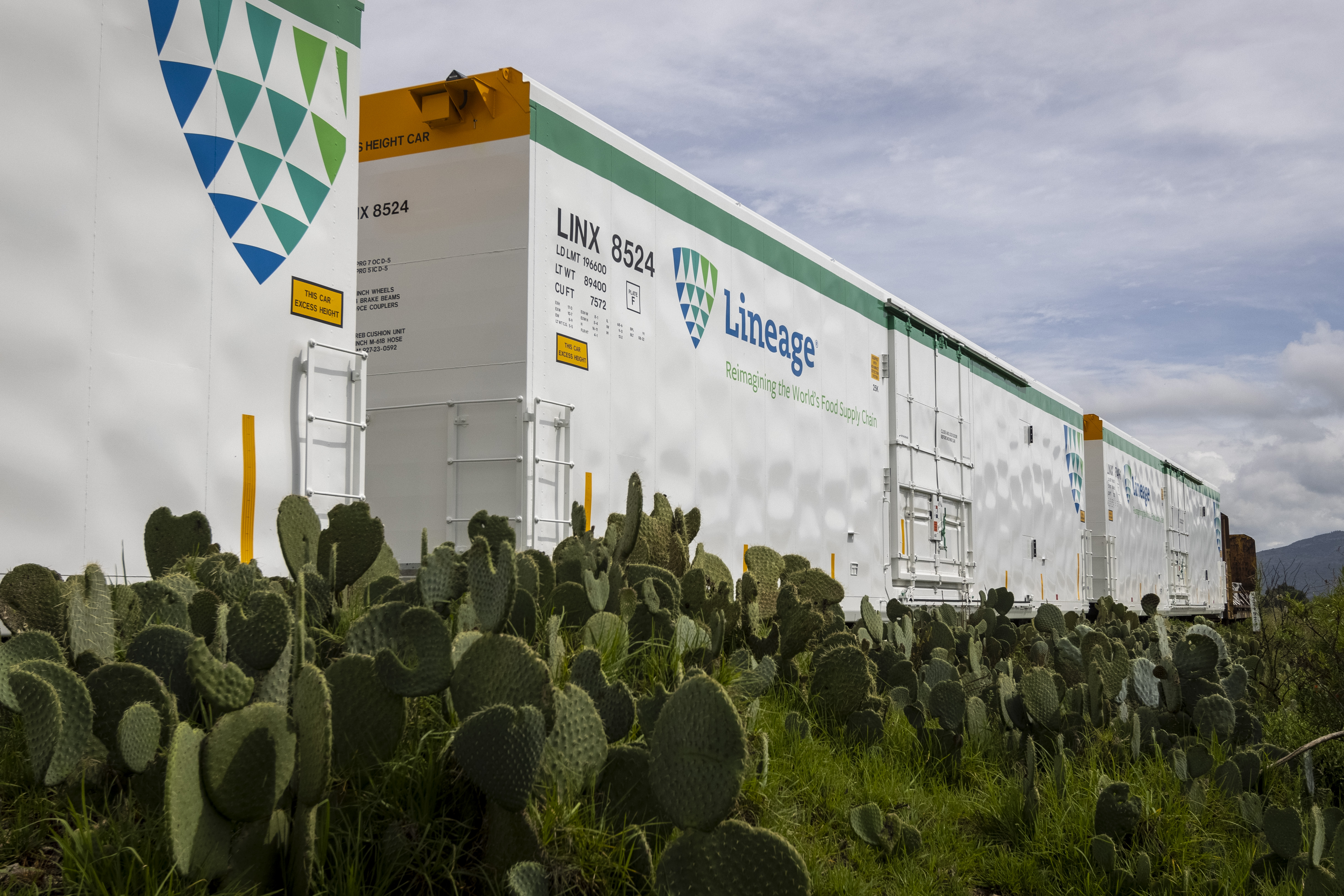 Un Lineage les wagons se déplacent entourés de cactus verts
