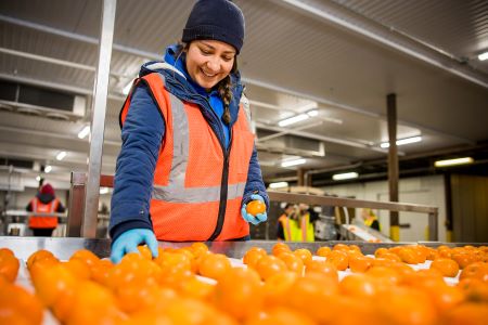 Las instalaciones y los miembros del equipo de Lineage Fresh trabajan duro para garantizar que las frutas, verduras y hortalizas se mantengan frescas hasta la mesa.