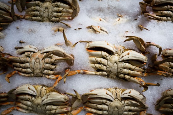 Crabes congelés exposés sur de la glace, représentant les exigences de traçabilité des fruits de mer en vertu de la FSMA 204 et des normes de salubrité des aliments de la chaîne du froid.