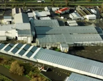 Hawkesbay-Whakatu-cold-storage-warehouse