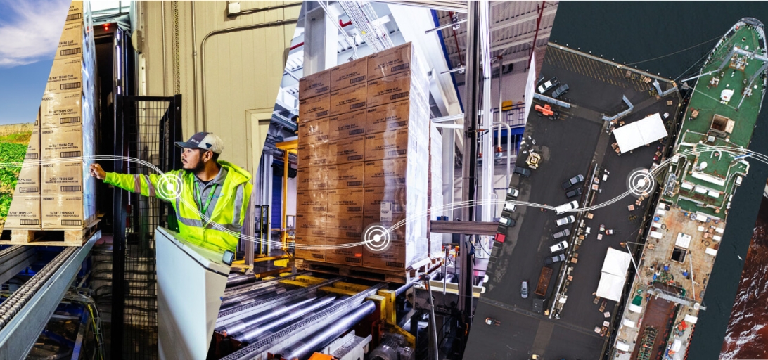 Journey of a French fry showing potato fields, cold storage, shipping logistics and a plated meal, connected by a supply chain path.