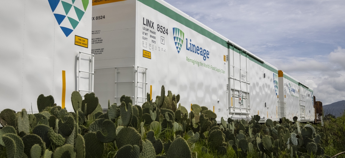 A Lineage railcar travels surrounded by green cacti