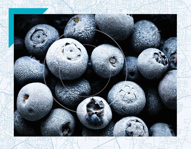 Texas Regional - South Texas Spotlight