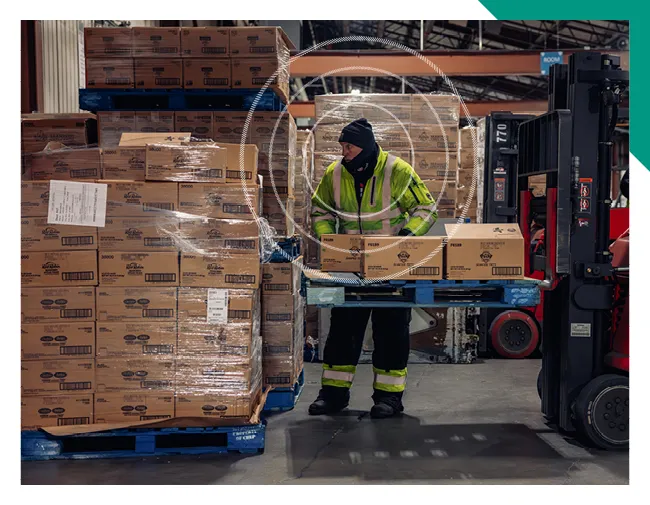 Lineage team member working in Australian cold storage warehouse