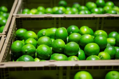 Keeping fruits and vegetables fresh and reducing food waste are just a couple of the benefits provided by Lineage Fresh.