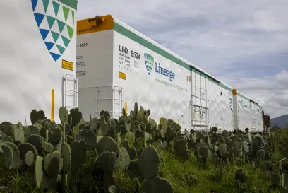 A Lineage rail car travels surrounded by green cacti