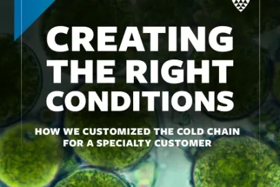 Creating the right conditions: microscopic view of algal cells, representing how Lineage customized the cold chain for a specialty customer handling algal-based products