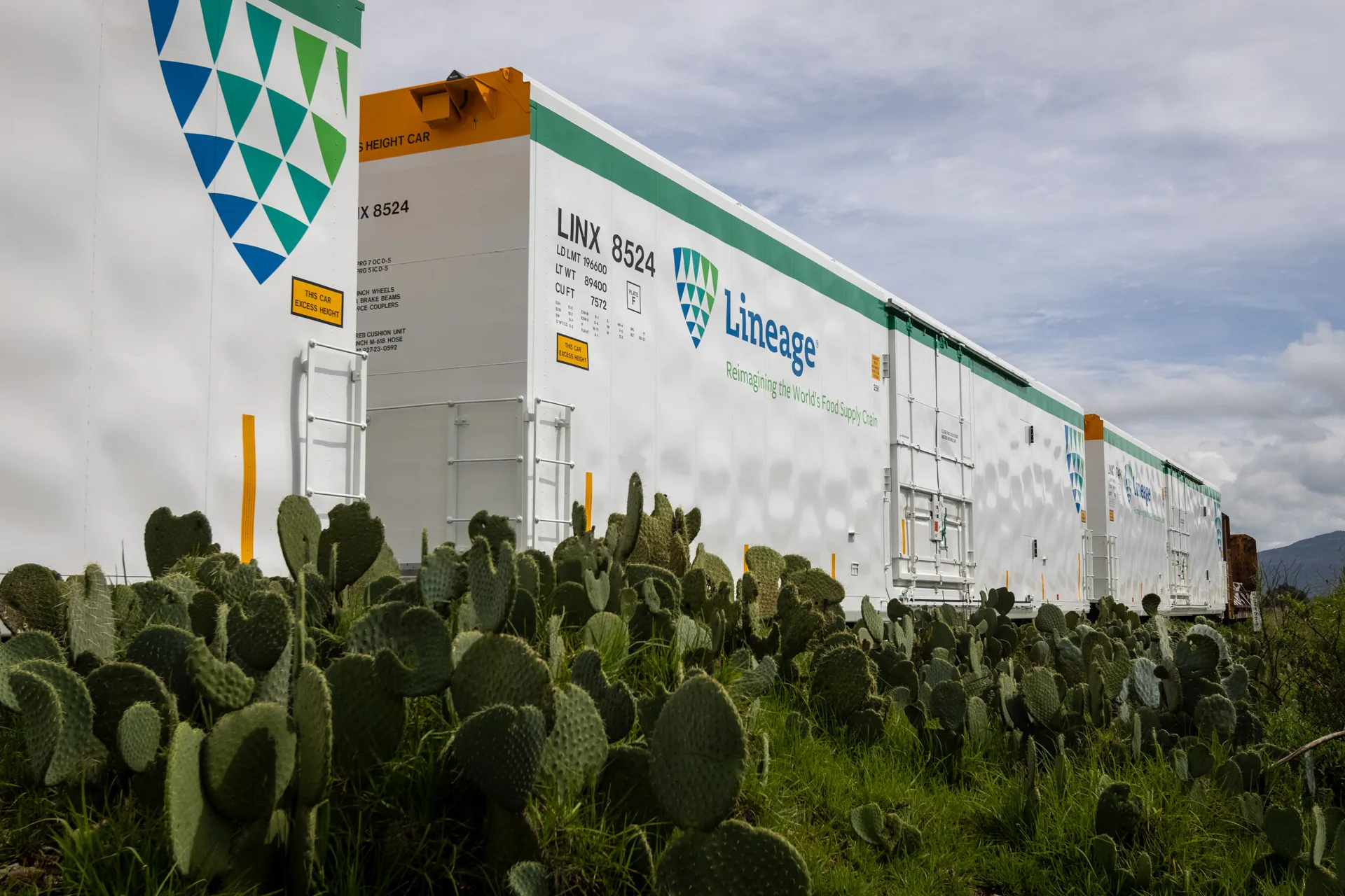 Lineage se entrena detrás del cactus