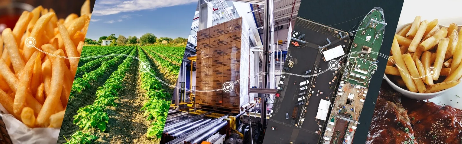 Un voyage visuel des frites de la ferme à l’assiette. L’image montre des frites fraîches, des champs de pommes de terre, un entrepôt frigorifique, un port d’expédition et un repas servi, reliés par un chemin de chaîne d’approvisionnement.