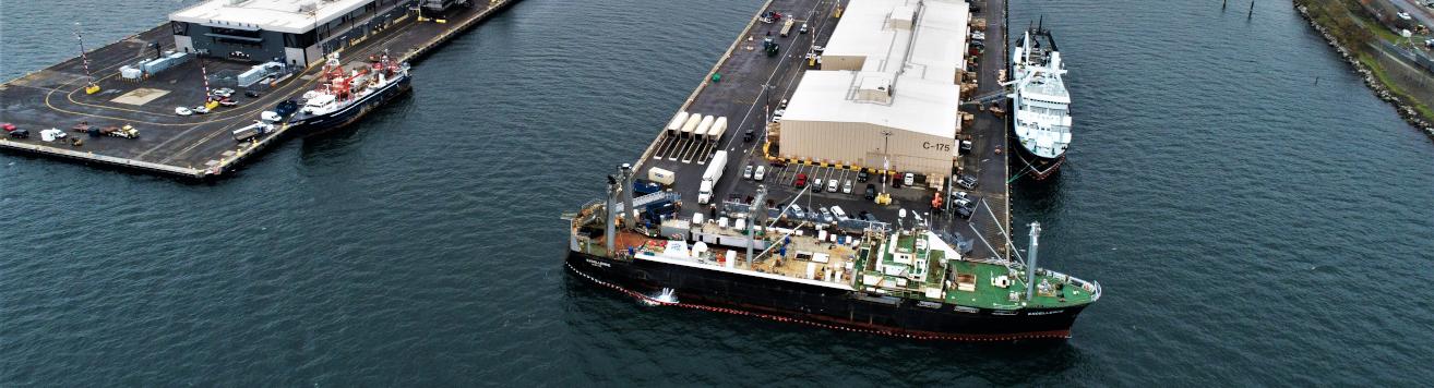 Ships loading crates on a dock